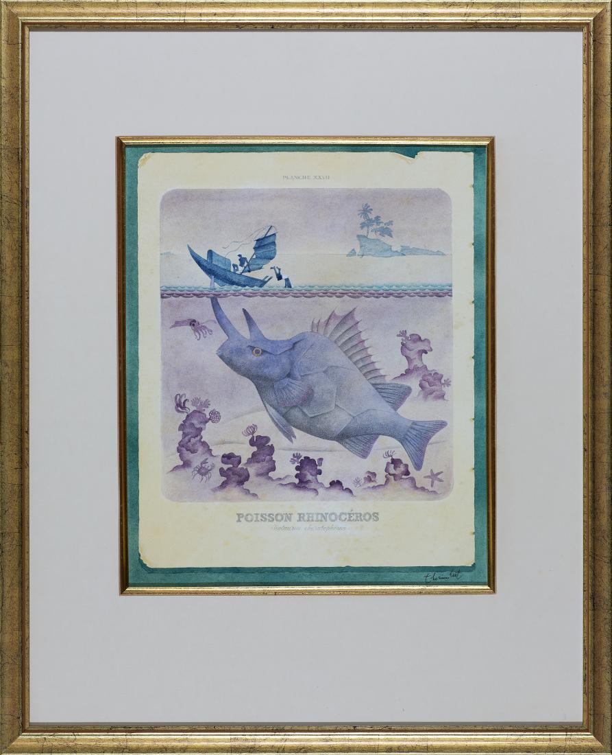 - One Off Collection Inclusions - POISSON RHINOCEROS - c1985