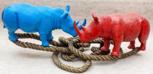 Gillie and Marc SCHATTNER (b.1965 & 1961) - RHINO LOVERS ON ROPE